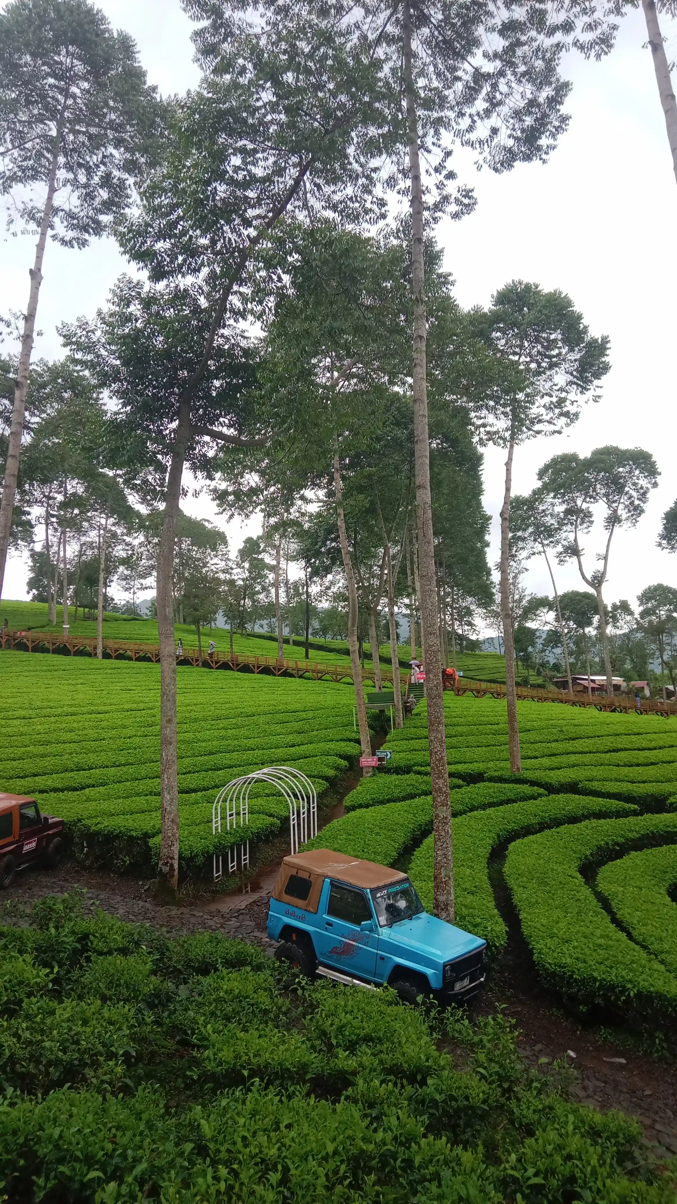 Arsip visual ekspedisi Dataran Tinggi Dieng didokumentasikan oleh Danu Syarifudin (#8)